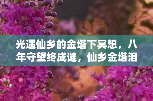 光遇仙乡的金塔下冥想图片