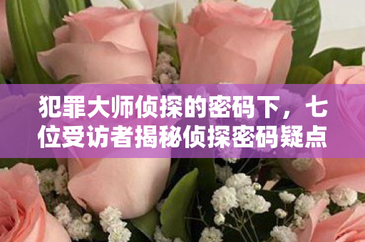 七位受访者揭秘侦探密码疑点图片