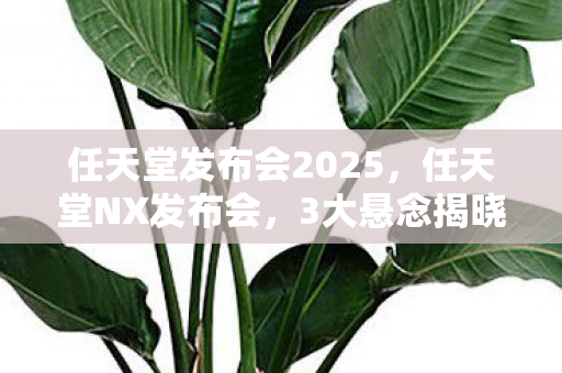 老玩家为何集体陷入沉默图片