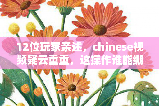 chinese视频疑云重重图片