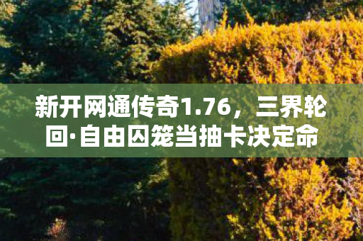 自由囚笼当抽卡决定命运时图片
