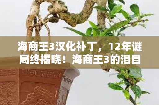 海商王3汉化补丁，12年谜局终揭晓！海商王3的泪目航海史诗