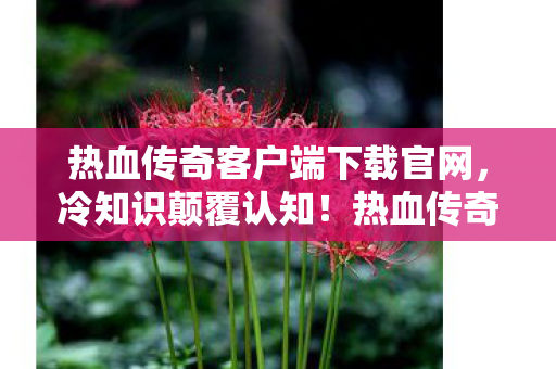 热血传奇客户端下载竟藏着目瞪口呆的十年骗局图片