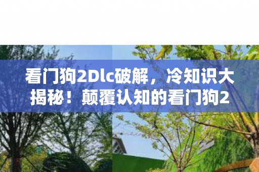 颠覆认知的看门狗2隐藏设定图片