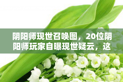 20位阴阳师玩家自曝现世疑云图片