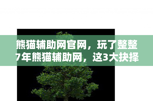 玩了整整7年熊猫辅助网图片