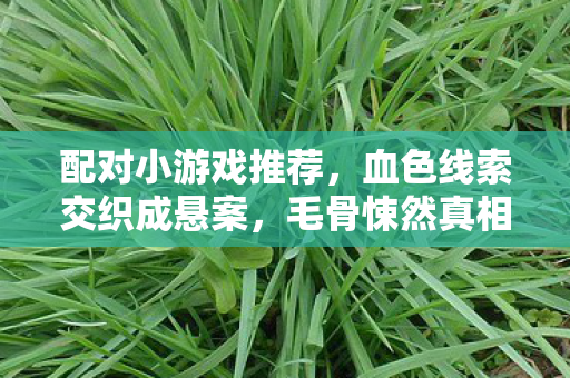 配对小游戏推荐，血色线索交织成悬案，毛骨悚然真相待揭晓