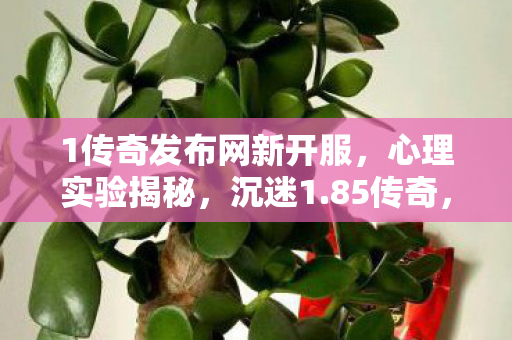 细思极恐的自我麻醉之旅图片