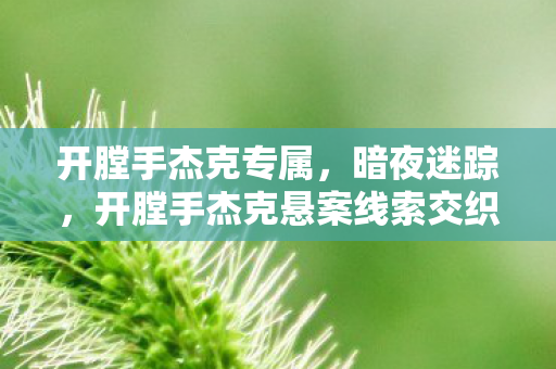 开膛手杰克悬案线索交织图片