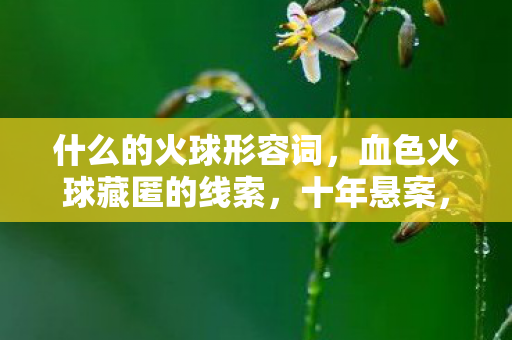 血色火球藏匿的线索图片
