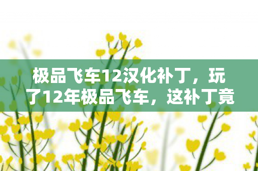 极品飞车12汉化补丁，玩了12年极品飞车，这补丁竟让我陷入两难抉择？