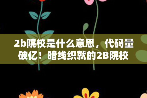 2b院校是什么意思，代码量破亿！暗线织就的2B院校生存法则，头皮发麻的逆袭实录