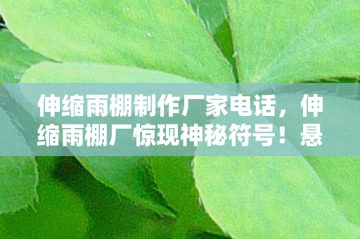 伸缩雨棚厂惊现神秘符号图片