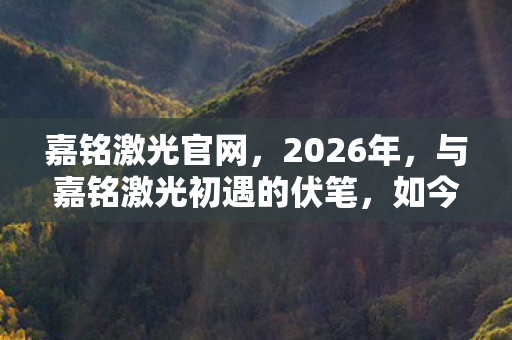 与嘉铭激光初遇的伏笔图片