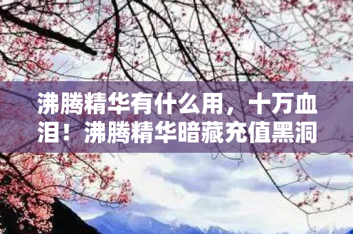 沸腾精华暗藏充值黑洞图片