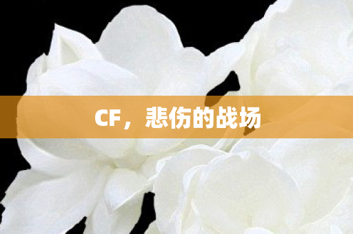 CF,悲伤的战场 CF,悲伤的战场