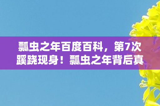瓢虫之年百度百科图片