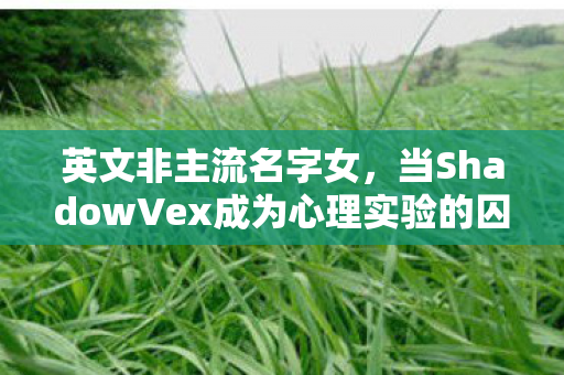 英文非主流名字女，当ShadowVex成为心理实验的囚徒，我沉迷游戏的细思极恐自白