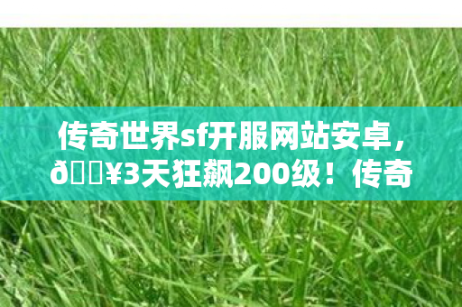 传奇世界sf开服网站安卓图片
