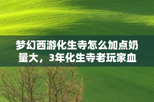 梦幻西游化生寺怎么加点奶量大图片