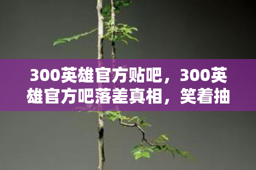 300英雄官方吧落差真相图片