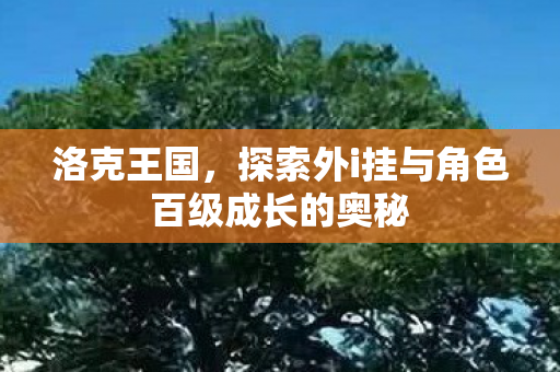洛克王国,探索外i挂与角色百级成长的奥秘 洛克王国,探索外i挂与角色百级成长的奥秘