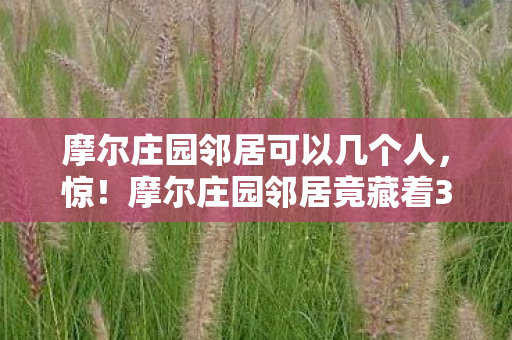 摩尔庄园邻居竟藏着3个不为人知的秘密图片