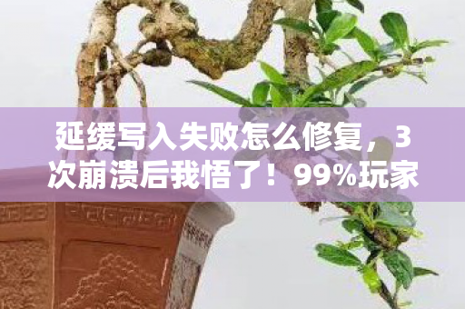 玩家踩坑的延缓写入陷阱图片
