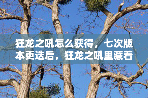 狂龙之吼里藏着多少老玩家不敢触碰的真相图片