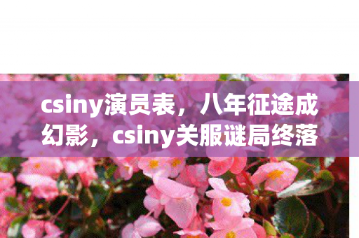 csiny关服谜局终落幕图片