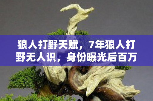 身份曝光后百万玩家泪目图片