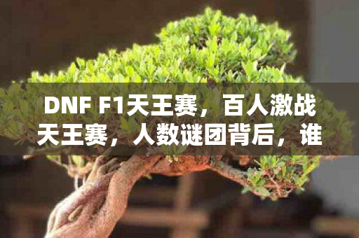 DNF F1天王赛图片