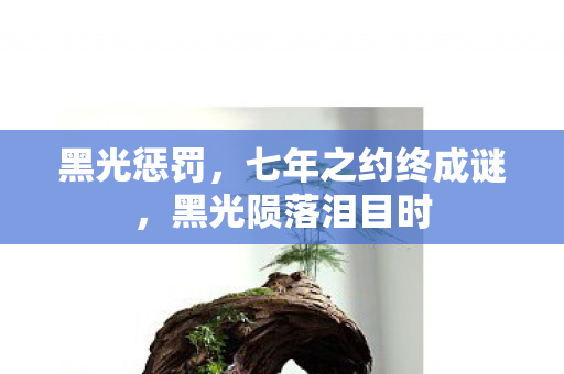 七年之约终成谜图片