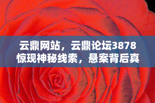云鼎论坛3878惊现神秘线索图片