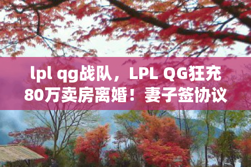 LPL QG狂充80万卖房离婚图片