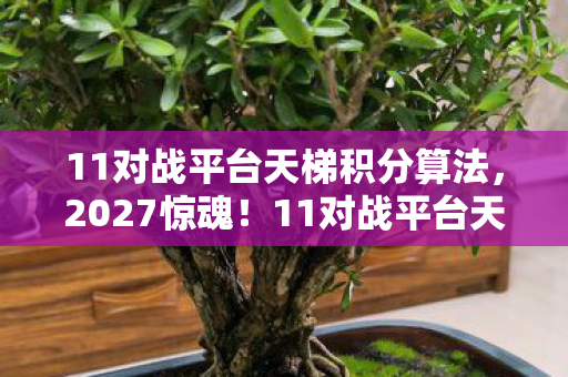 11对战平台天梯积分算法图片