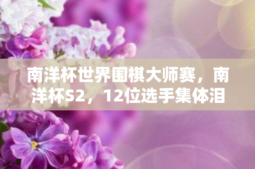 南洋杯世界围棋大师赛图片
