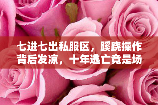 十年逃亡竟是场荒诞剧图片