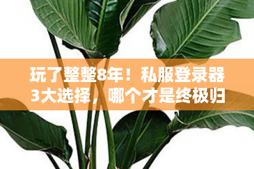 玩了整整8年！私服登录器3大选择，哪个才是终极归宿？