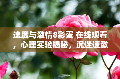 沉迷速激8彩蛋竟成细思极恐的自我囚笼图片