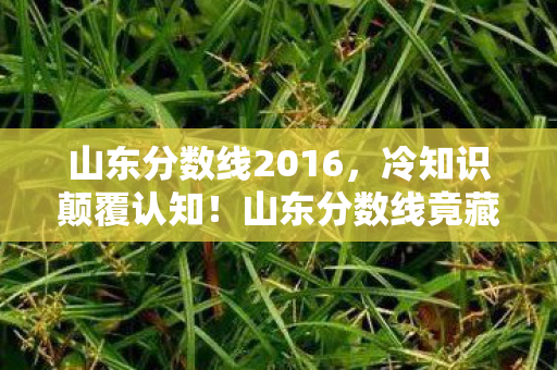 山东分数线竟藏着让考生目瞪口呆的隐藏规则图片