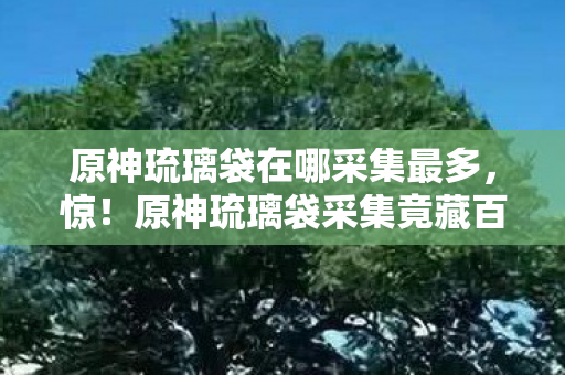 原神琉璃袋采集竟藏百万商机图片
