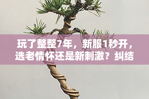 选老情怀还是新刺激图片