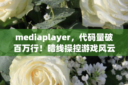 mediaplayer图片