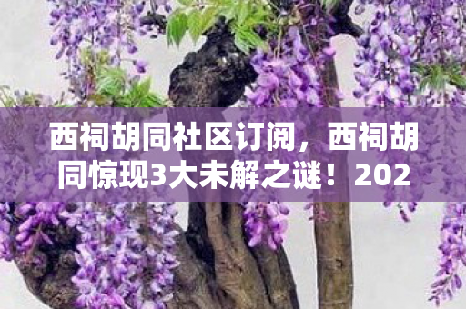2026年真相能否浮出水面图片