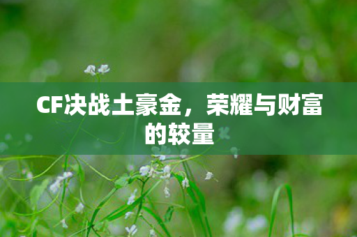 CF决战土豪金,荣耀与财富的较量 CF决战土豪金,荣耀与财富的较量
