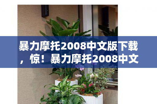 暴力摩托2008中文版蹊跷现世图片