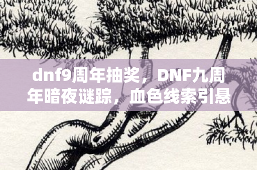 DNF九周年暗夜谜踪图片