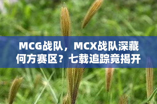 七载追踪竟揭开电竞圈惊天秘密图片