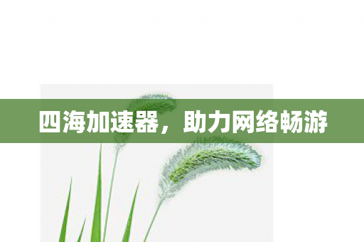 四海加速器，助力网络畅游